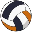 🏐