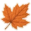🍁