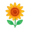 🌻
