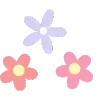 🌺