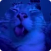 🌀