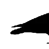 🖤
