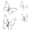 🦋
