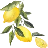 🍋