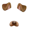 🐶