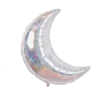🌙