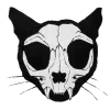 🐱