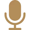 🎙