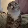 🤪