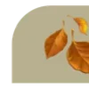 🍂