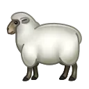 🐑