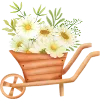🌼