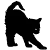 🐈