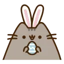 🐰