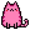 🐱