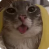 🍌