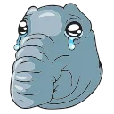 😥