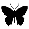 🦋