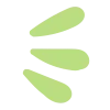 🤩