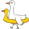 🦆