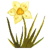 🌷