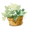 🪴