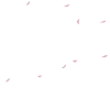 🌸