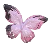 🦋