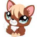 🦊