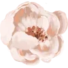 🌸