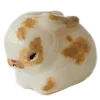 🐰