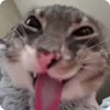 😜