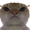 😠
