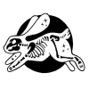 🐇