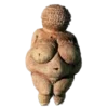 🌚