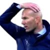 🇫🇷