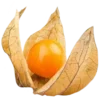 🍊