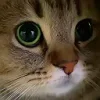 😕