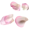 🌸