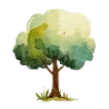🌳