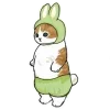 🐰