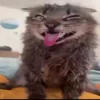 😛