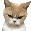 😠