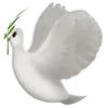 🕊