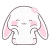 🐰