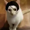 😻