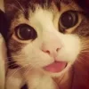 😝