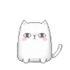 😾
