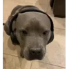 🎧