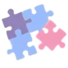 🧩